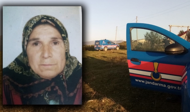 Büyükbaşın saldırısına uğrayan yaşlı kadın kurtarılamadı