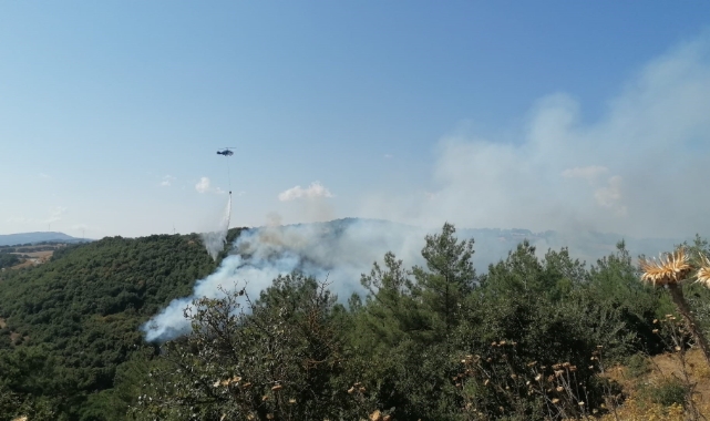 Çan’daki orman yangını kontrol altına alındı