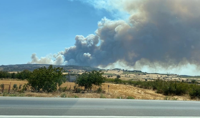Çanakkale’de orman yangını