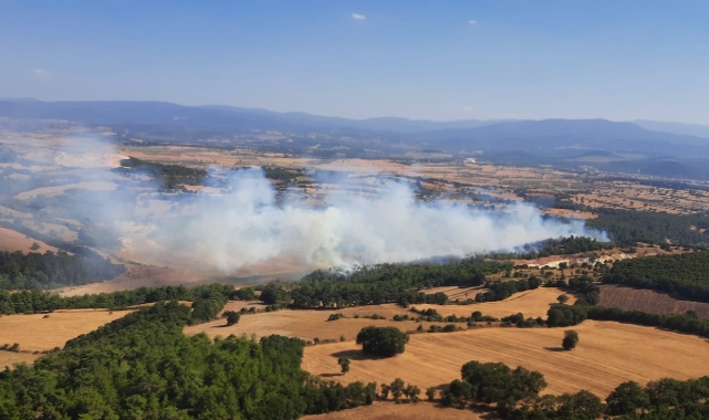 Çanakkale'de orman yangını
