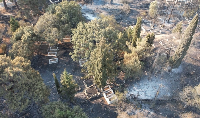 Çanakkale'deki yangının ardından yürekleri burkan görüntü