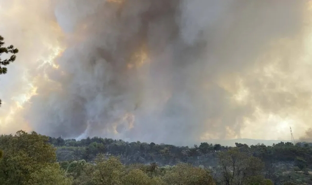 Çanakkale'deki yangının çıkış nedeni belli oldu