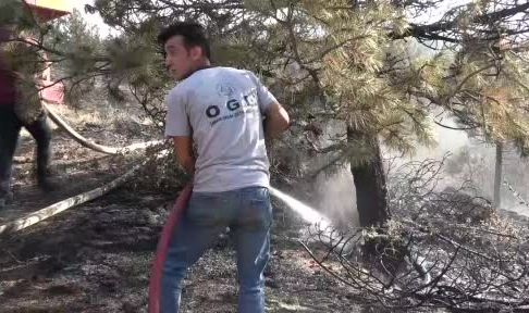 Çankırı’da orman yangını: 10 dönüm küle döndü