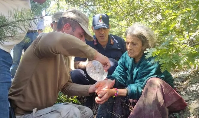 Çilek toplarken kaybolan kadını, jandarma buldu