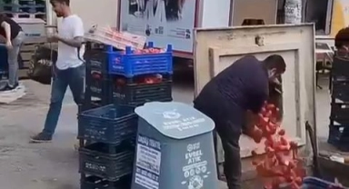 Çöpe dökülen domateslerle ilgili açıklama geldi