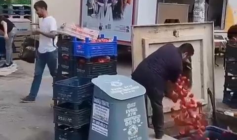 Çöpe dökülen domateslerle ilgili açıklama geldi