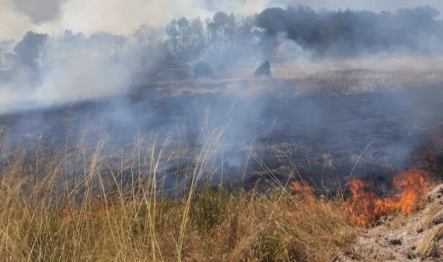 Eskişehir'de korkutan yangın