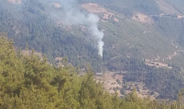 Feke de orman yangını