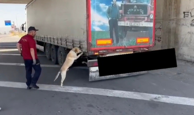Film sahnelerini aratmayan uyuşturucu operasyonu