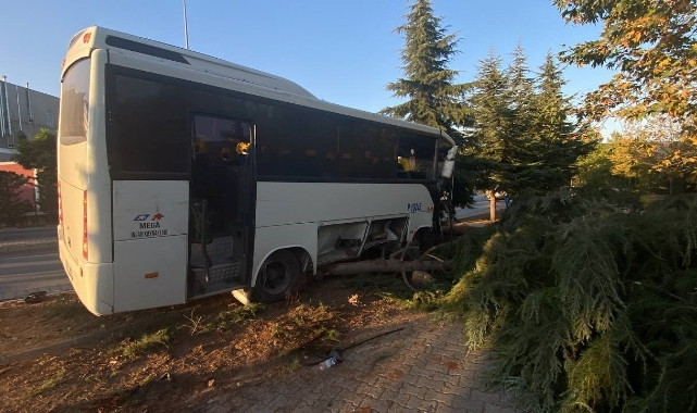 Freni patlayan servis midibüsü ağaçları biçti