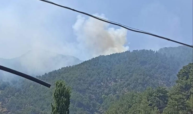 Gaziantep’te 4 hektar orman küle döndü