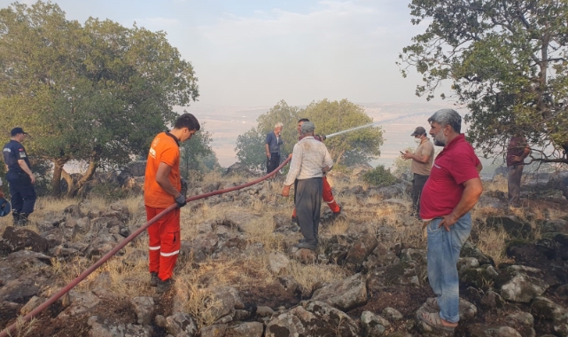 Gaziantep’te düşen yıldırım ormanlık alanı yaktı
