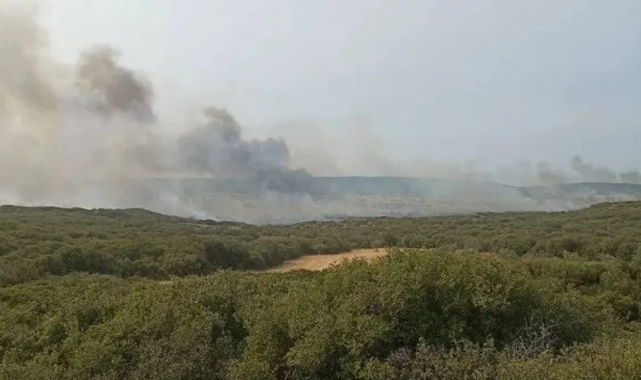 Gelibolu Yarımadası'ndaki yangında bir gözaltı
