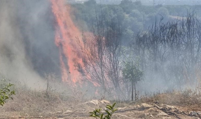 Hatay’da makilik arazi yangını söndürüldü