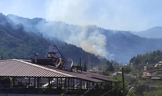 Hatay'da orman yangını