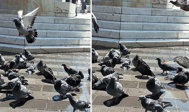 Bursa'da içinizi ferahlatacak 'Güvercin banyosu'