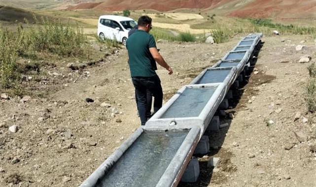 Iğdır'da mera ıslah ve amenajman projesi