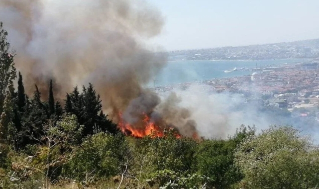 İstanbul'da korkutan yangın