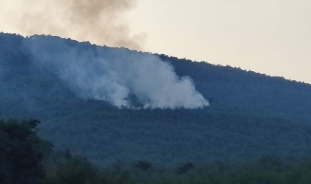 İzmir'de düşen yıldırım ormanı yaktı