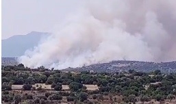 İzmir'de makilik yangını