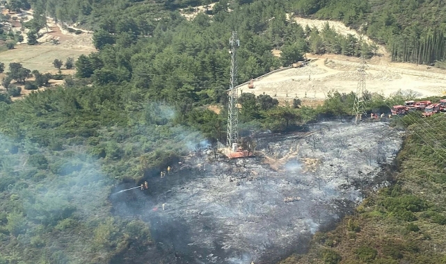İzmir'de orman yangını