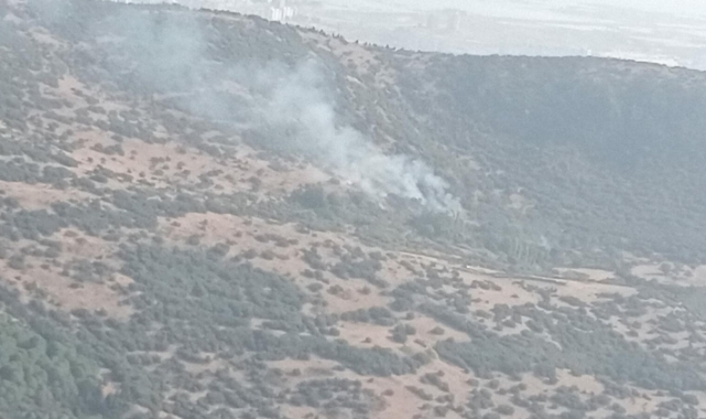 İzmir'de orman yangınları kontrol altına alındı