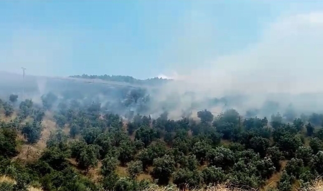 İznik'te makilik alanda çıkan yangın söndürüldü