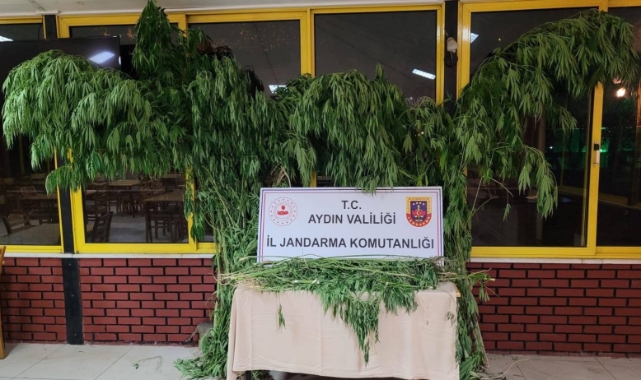 Jandarma uyuşturucu tacirlerine göz açtırmıyor