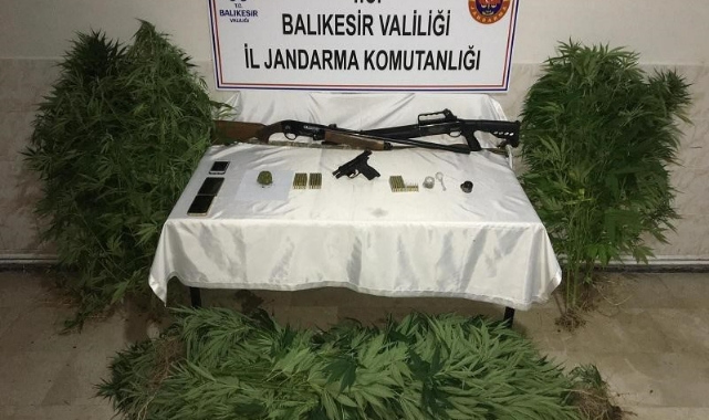 Jandarmadan uyuşturucu operasyonu