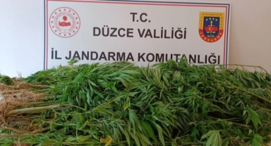 Jandarmadan Yığılca'da operasyon