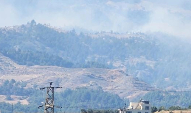 Kahramanmaraş'ta orman yangını
