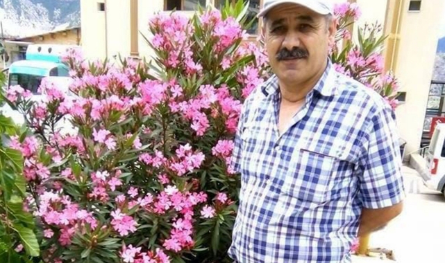 Kamyonete çarpan ağaç can aldı