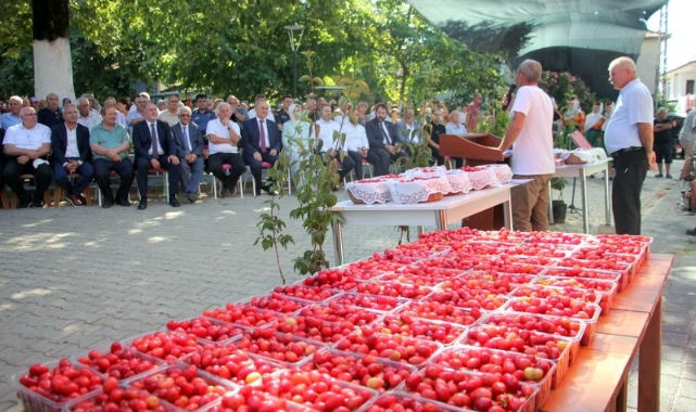Kızılcık Şenliği'nde vatandaşlar doyasıya eğlendi