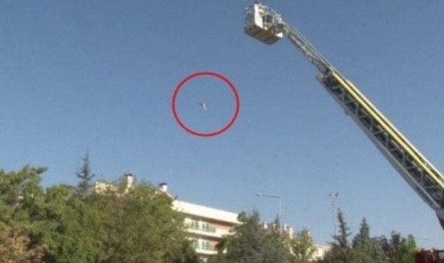 Konya'da intihardan vazgeçmek için kedisini istedi! Metrelerce yüksekten atıp öldürdü