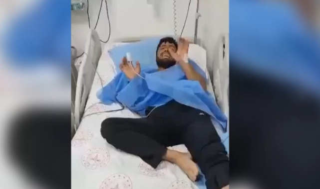 Kuduz kurbanı Faras hayatını kaybetti