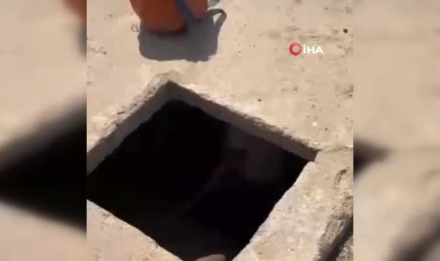 Kuyuya düşen keçiyi ekipler kurtardı