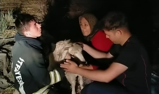 Kuyuya düşen keçiyi itfaiye kurtardı