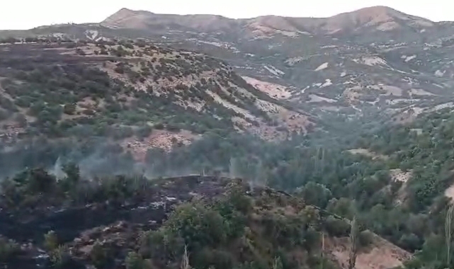 Malatya'daki yangın kontrol altına alındı