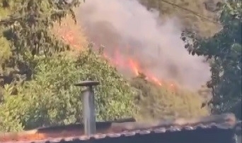 Mersin'de orman yangını