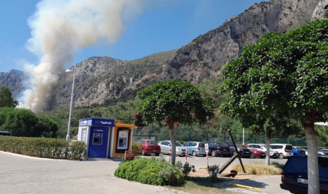 Milas’ta orman yangını
