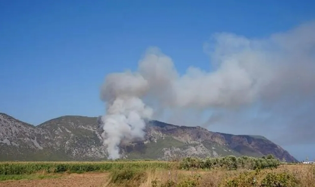 Milas'ta orman yangını çıktı!