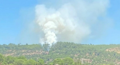 Muğla'da 1 hektar orman küle döndü