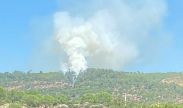 Muğla'da 1 hektar orman küle döndü