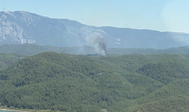 Muğla'da orman yangını