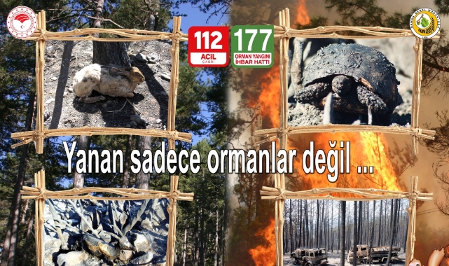 Orman yangınlarına karşı vatandaşlar uyarıldı