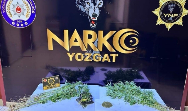 Ormanlık alanda uyuşturucu operasyonu
