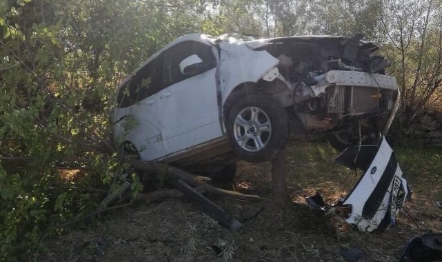 Otomobil kırdığı ağacın üzerinde asılı kaldı