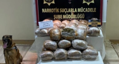 'Pars' uyuşturucu tacirlerine geçit vermedi