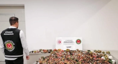 Sınır Kapısı'nda kaçakçılığa geçit yok