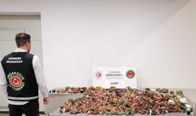 Sınır Kapısı'nda kaçakçılığa geçit yok